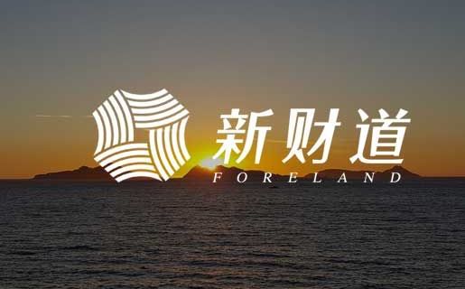 新财道官网