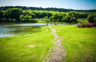 本溪网站建设