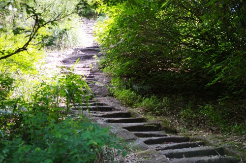 宣城网站建设